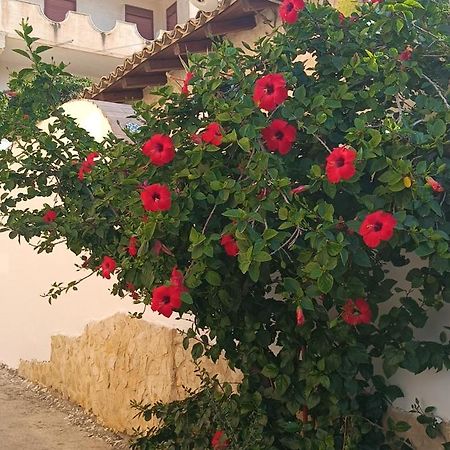 Bed and Breakfast Al Faro Реальмонте Экстерьер фото